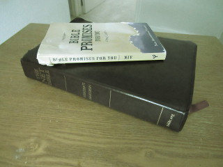 NET Bible with the Bible Promises for You book on top